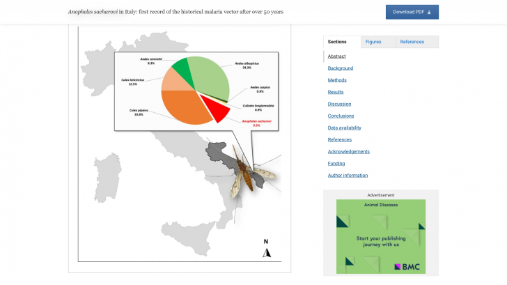 Italy Malaria 2024