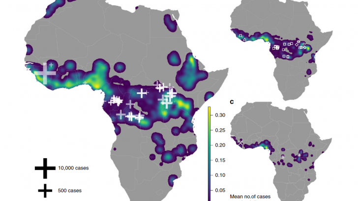 Ebola vaccine