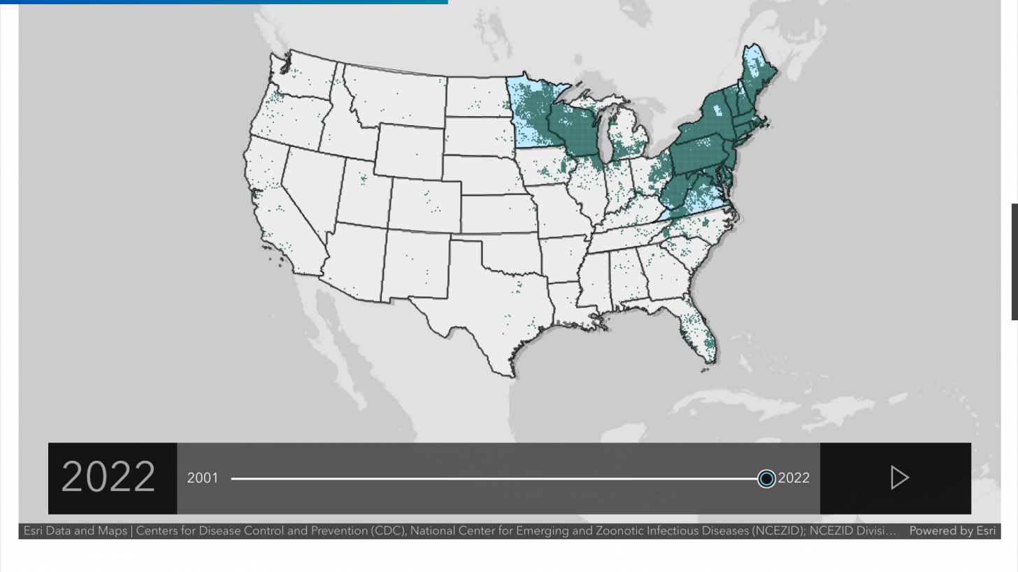 Lyme disease