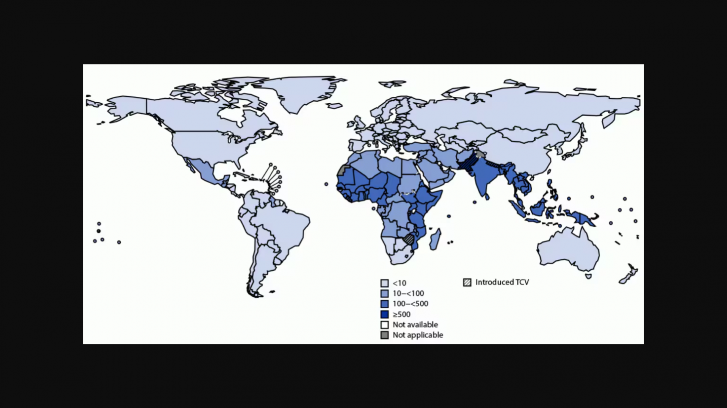 Typhoid