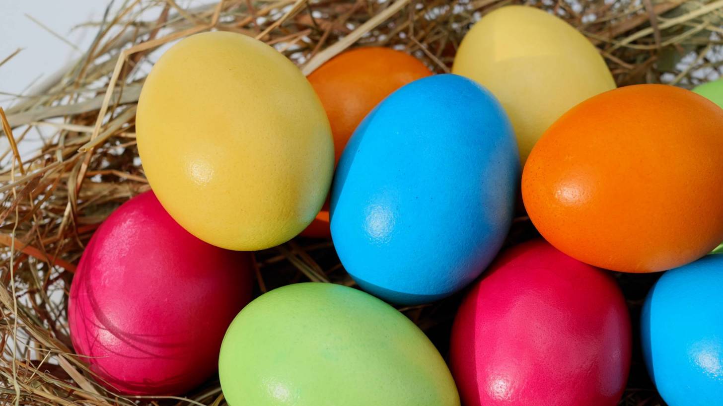 colored dyed easter eggs