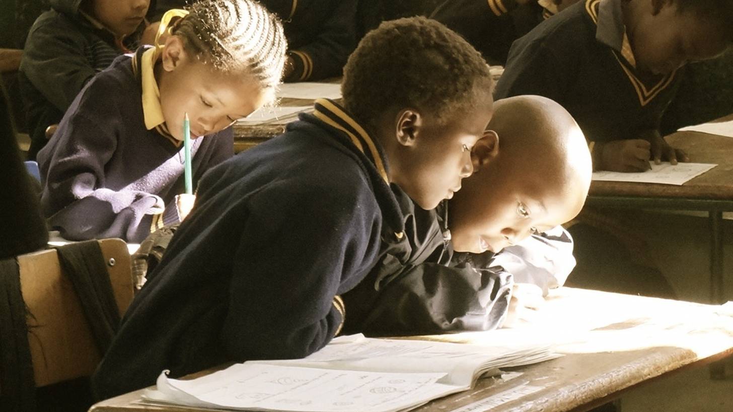 students in a classroom studying