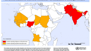 Polio cases in Africa 2023