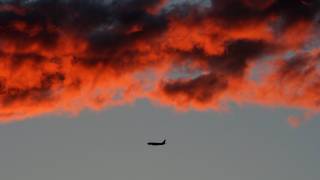 plane flying in the red sky