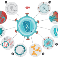 HIV vaccine