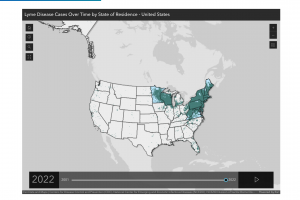 Lyme disease vaccine