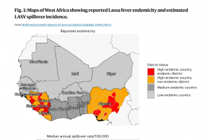 Lassa fever vaccine