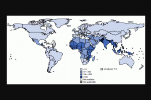 Typhoid