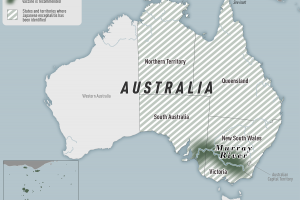 Australia disease outbreak