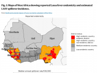 Lassa fever vaccine