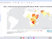 cholera vaccine